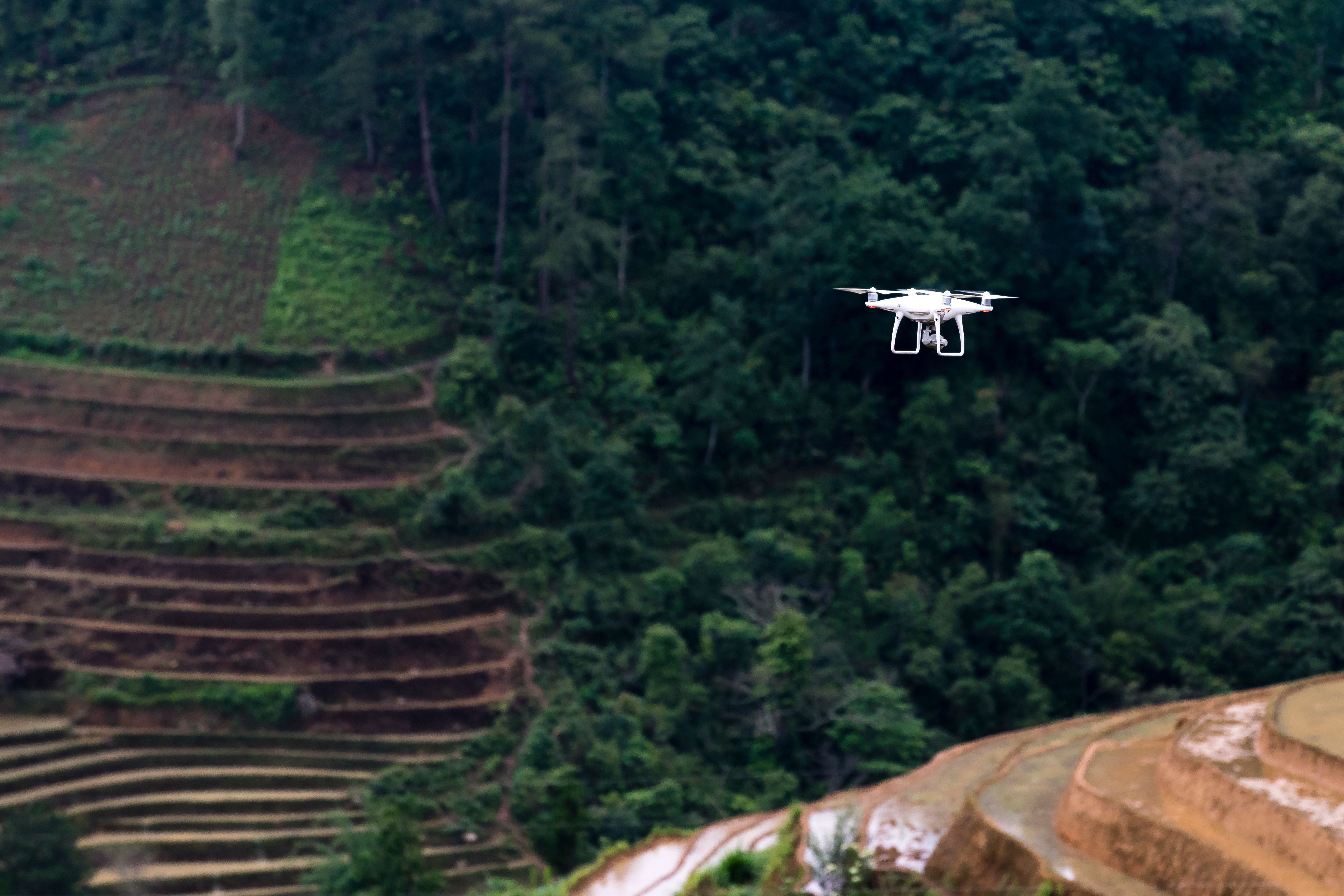 Drone forest survey